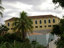 aracead